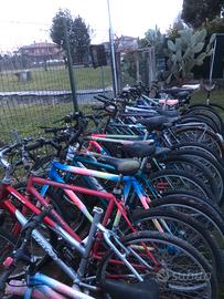 Biciclette uomo donna