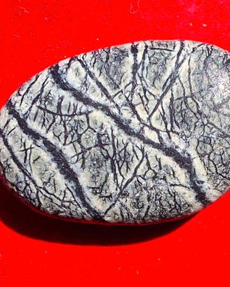 Piccola pietra per collezione
