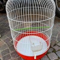 Accessori animali