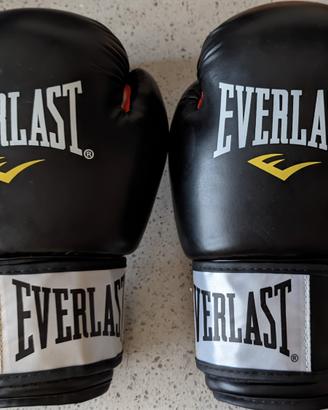 Guantoni Everlast 8 Oz  nuovi