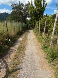 Terreno agricolo 1500 mq