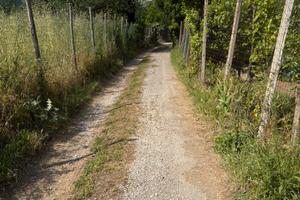 Terreno agricolo 1500 mq