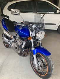 Cupolono Honda Hornet