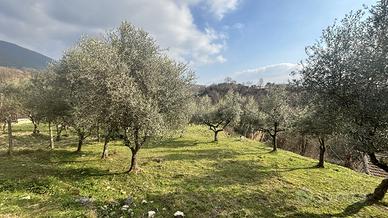 Rustico/Casale/Corte Alatri [Cod. rif 3297841VRG]