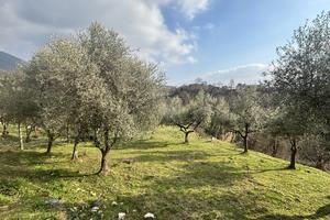 Rustico/Casale/Corte Alatri [Cod. rif 3297841VRG]
