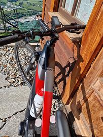 bicicletta elettrica 