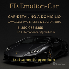 Lucidatura auto