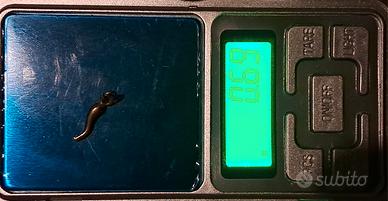  Ciondolo Cornicello in oro 18 carati 