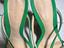 Immagine 6
