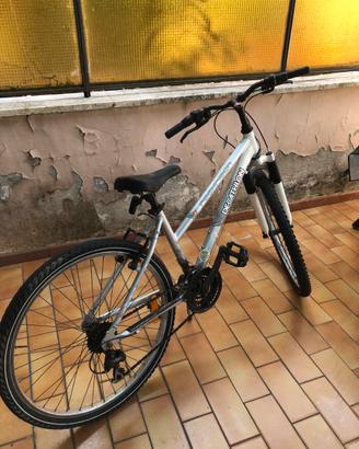 Bicicletta