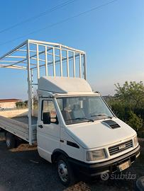 Turbo Daily centinato