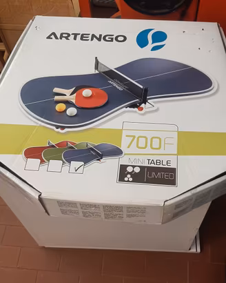 Mini tavolo da ping pong