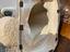 Immagine 6