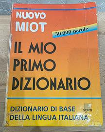 Dizionario 