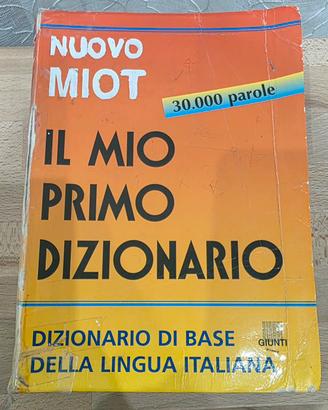 Dizionario 