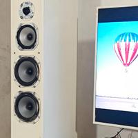 Diffusori Dynavoice Challenger m65 EX