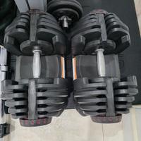 Coppia manubri bowflex 