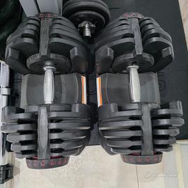 Coppia manubri bowflex 