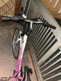 biciclette 