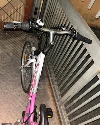 biciclette 