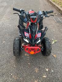 Quad elettrico