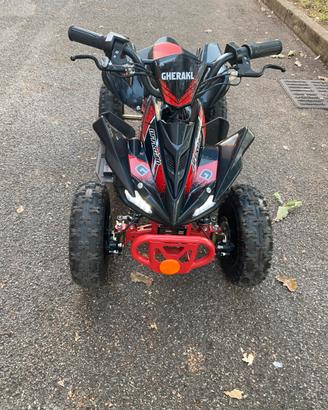 Quad elettrico