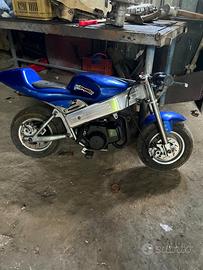 MiniMoto pollini