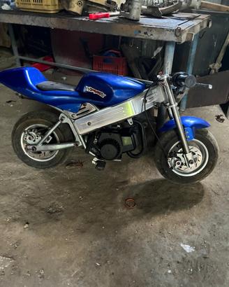 MiniMoto pollini