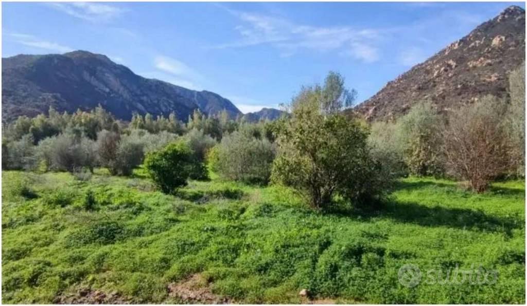 Immobile in asta di 51370 m² a San Vito Romano - Vista 4