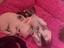 Immagine 2