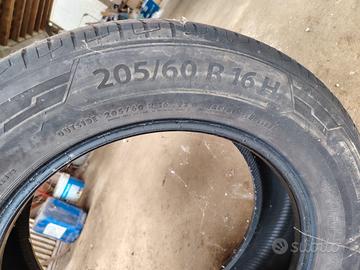 Gomme estive 