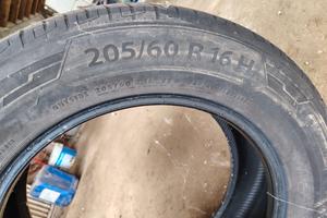 Gomme estive 