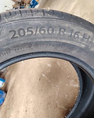 Gomme estive 