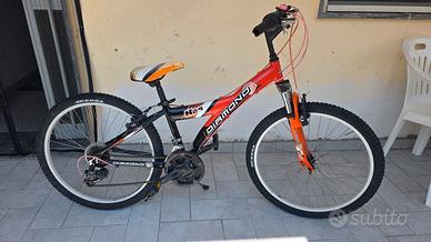 Bici Mountain Bike 24
