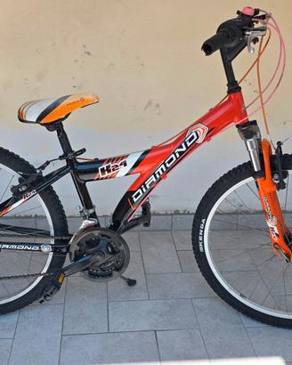 Bici Mountain Bike 24