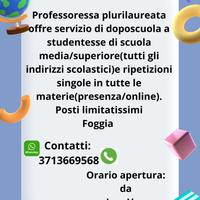 Doposcuola - ripetizioni Foggia - Esame maturità