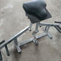 ATTREZZO FITNESS PUMP RIDER - POCO USATO