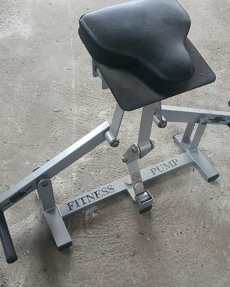 ATTREZZO FITNESS PUMP RIDER - POCO USATO