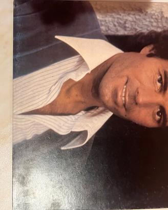 Dischi vinile 33 giri
