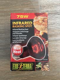 Lampada riscaldante exoterra