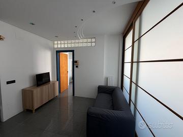 Ampio Monolocale