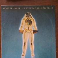 vinile originale "i sing the body electric" 