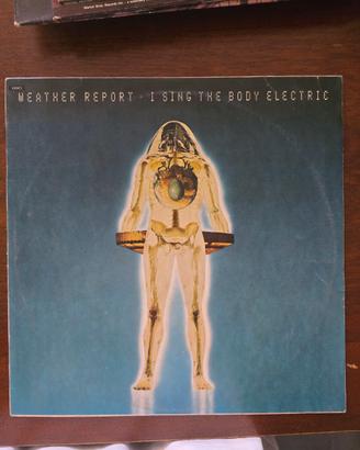 vinile originale "i sing the body electric" 