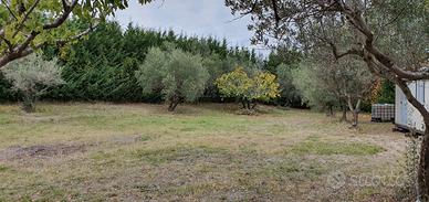 Terreno edificabile 1000 mq pianeggiante