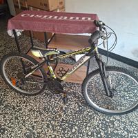 bicicletta ragazzo