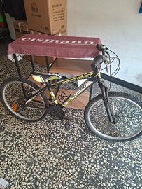bicicletta ragazzo