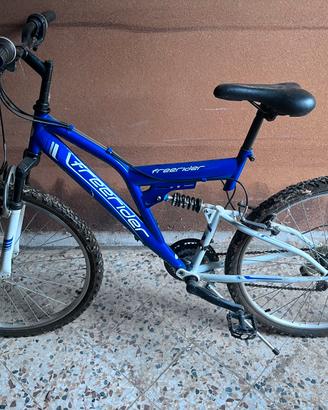 Mtb biammortizzata