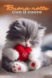 mobiletto porta TV prandini