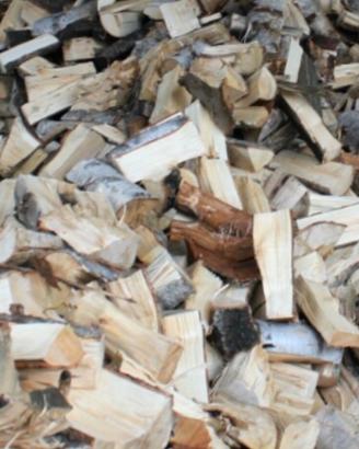 Legna da ardere di qualità