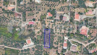 Terreno Agricolo Altavilla Milicia [TerM/7VCG]